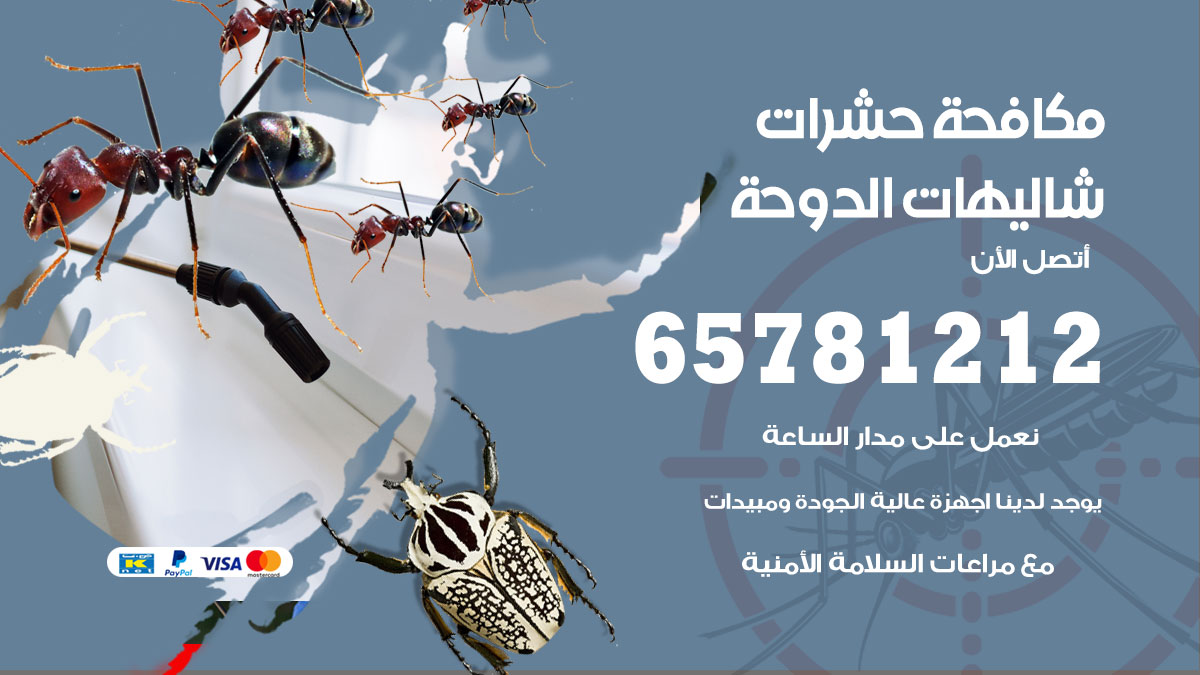 مكافحة حشرات شاليهات الدوحة