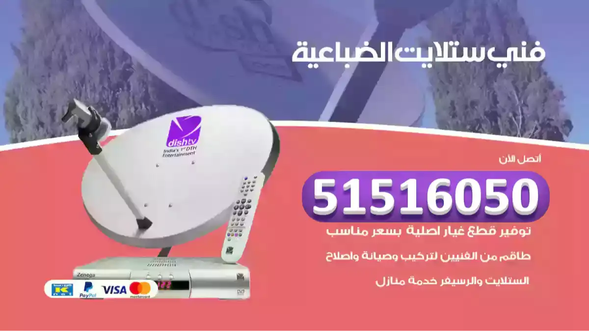 فني ستلايت الضباعية